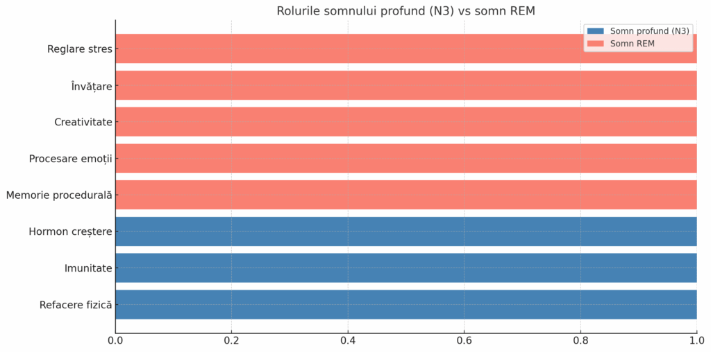 Rolurile somnului profund N3 comparativ cu somnul REM în refacerea fizică și procesarea emoțiilor